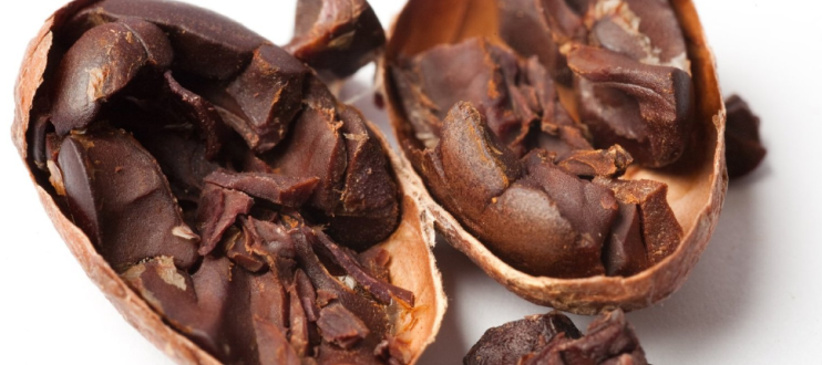 5 Best Organic Raw Cacao Nibs (Vegan)